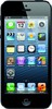 Apple iPhone 5 16GB - Старый Оскол
